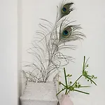 酒店 Boutique - De Stadsherberg