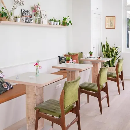 Boutique - De Stadsherberg 3* 알펜안덴라인