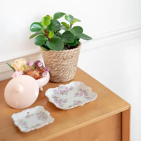 Boutique - De Stadsherberg 알펜안덴라인
