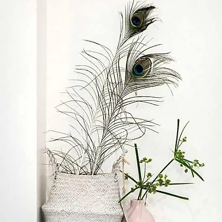 Boutique - De Stadsherberg Ξενοδοχείο