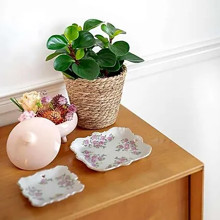 Ξενοδοχείο Boutique - De Stadsherberg