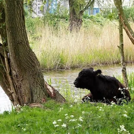 Hotel Boutique - De Stadsherberg Alphen aan den Rijn