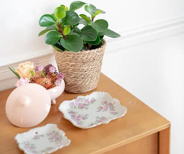 Boutique - De Stadsherberg Alphen aan den Rijn