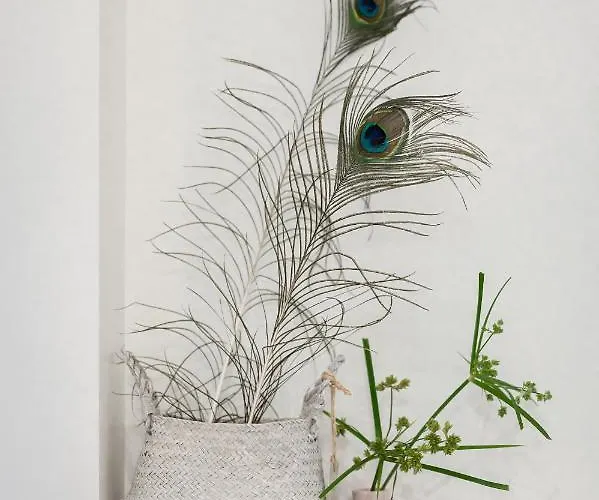 Hotel Boutique - De Stadsherberg